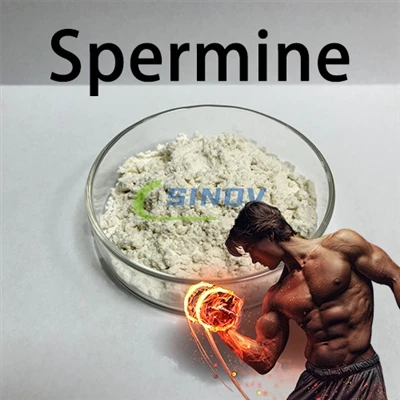 L-isperma fiha spermidine?